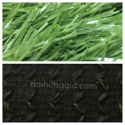 Cỏ Fanturt Zigzag 880