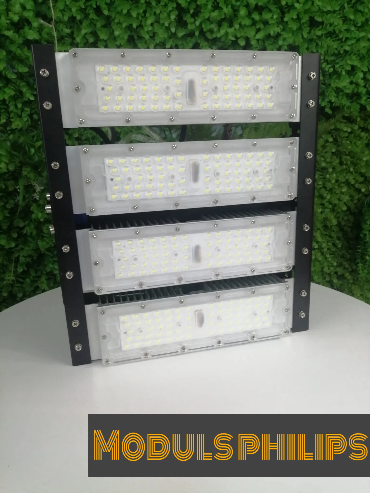 MODULS PHLIPS 200W
